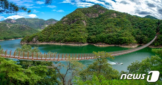 본문 이미지 -  제천 옥순봉 출렁다리(자료사진)/뉴스1 