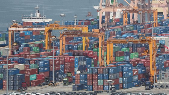 본문 이미지 - 경기 평택항 수출 야적장 2024.5.9/뉴스1 ⓒ News1 김영운 기자