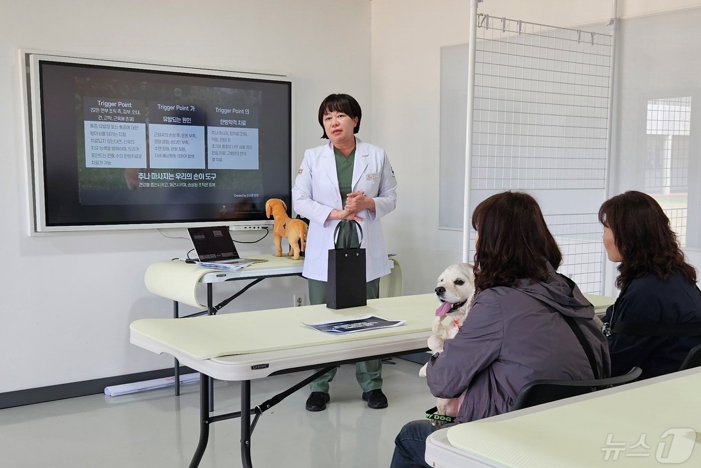 9일 강아지숲에서는 반려동물을 위한 마사지 클래스가 열렸다. ⓒ 뉴스1 최서윤 기자