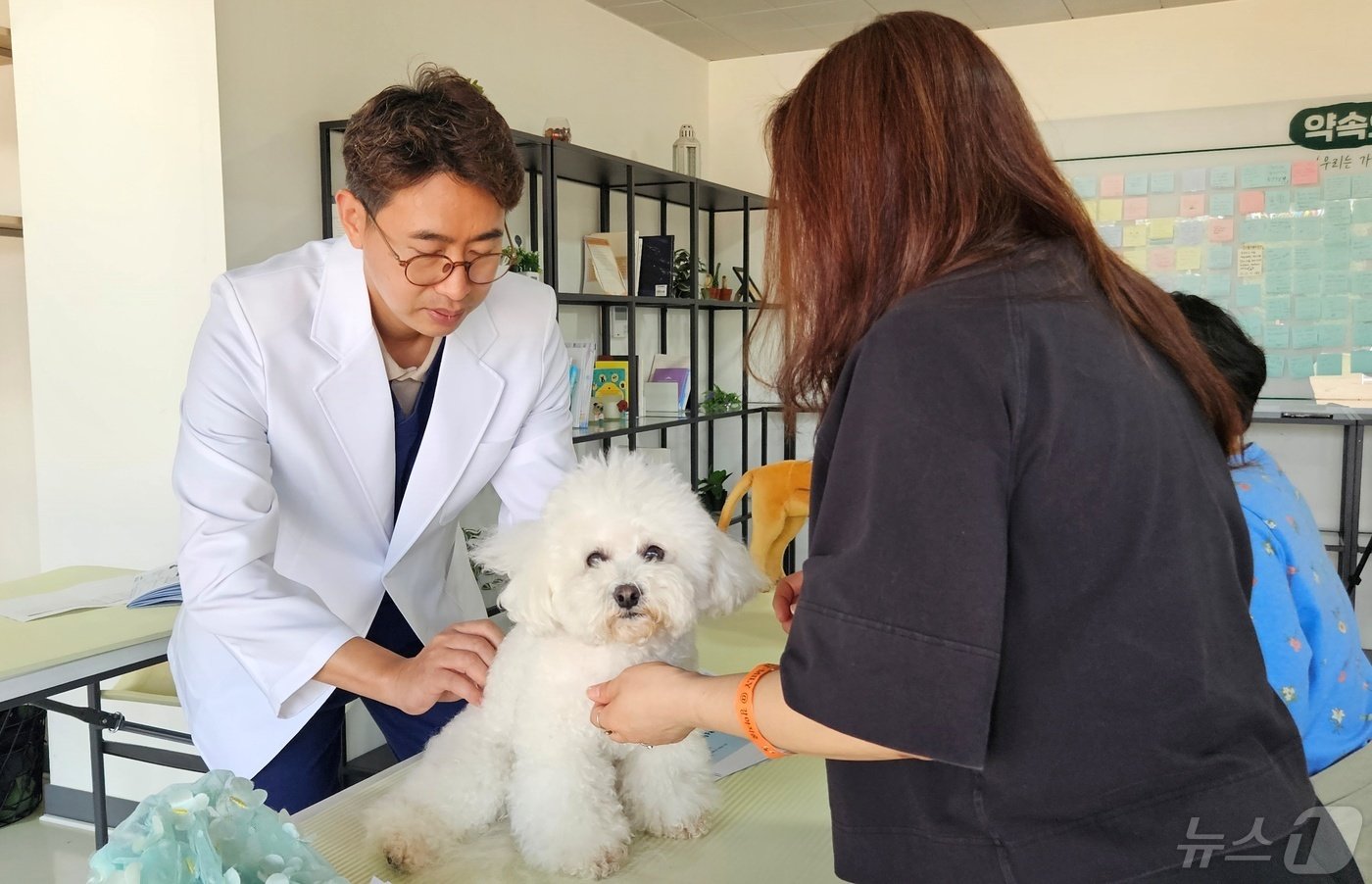 9일 강아지숲에서는 반려동물을 위한 마사지 클래스가 열렸다. ⓒ 뉴스1 최서윤 기자