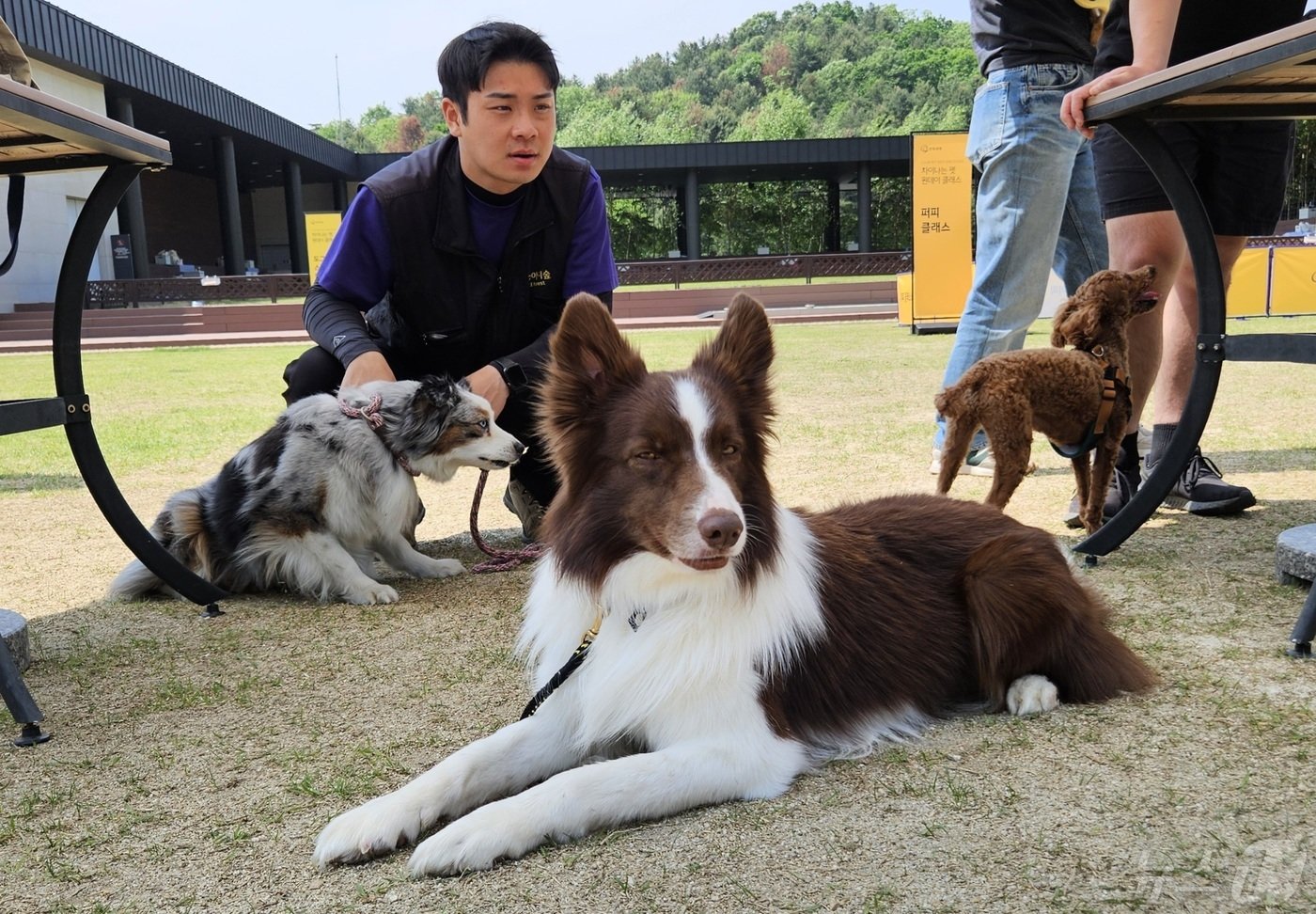 9일 강아지숲에서는 반려동물과 보호자가 함께 하는 클래스가 진행됐다. ⓒ 뉴스1 최서윤 기자