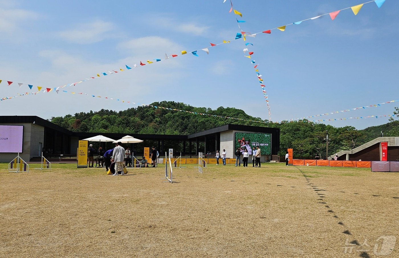 9일 강아지숲에서는 반려동물과 보호자가 함께 하는 클래스가 진행됐다. ⓒ 뉴스1 최서윤 기자