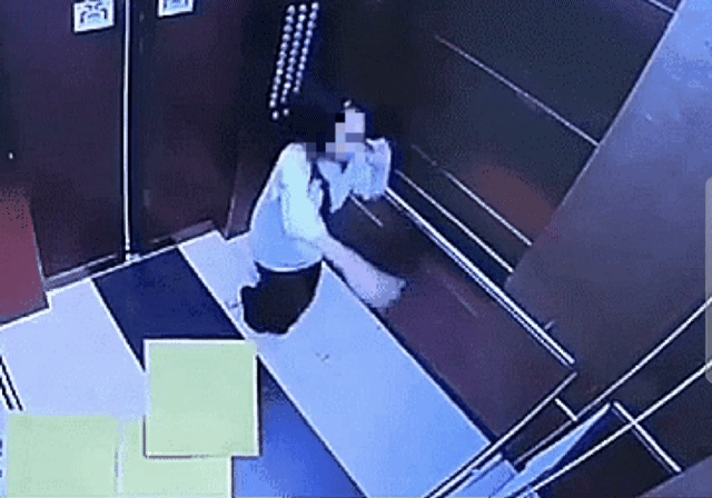 본문 이미지 - (보배드림 갈무리)