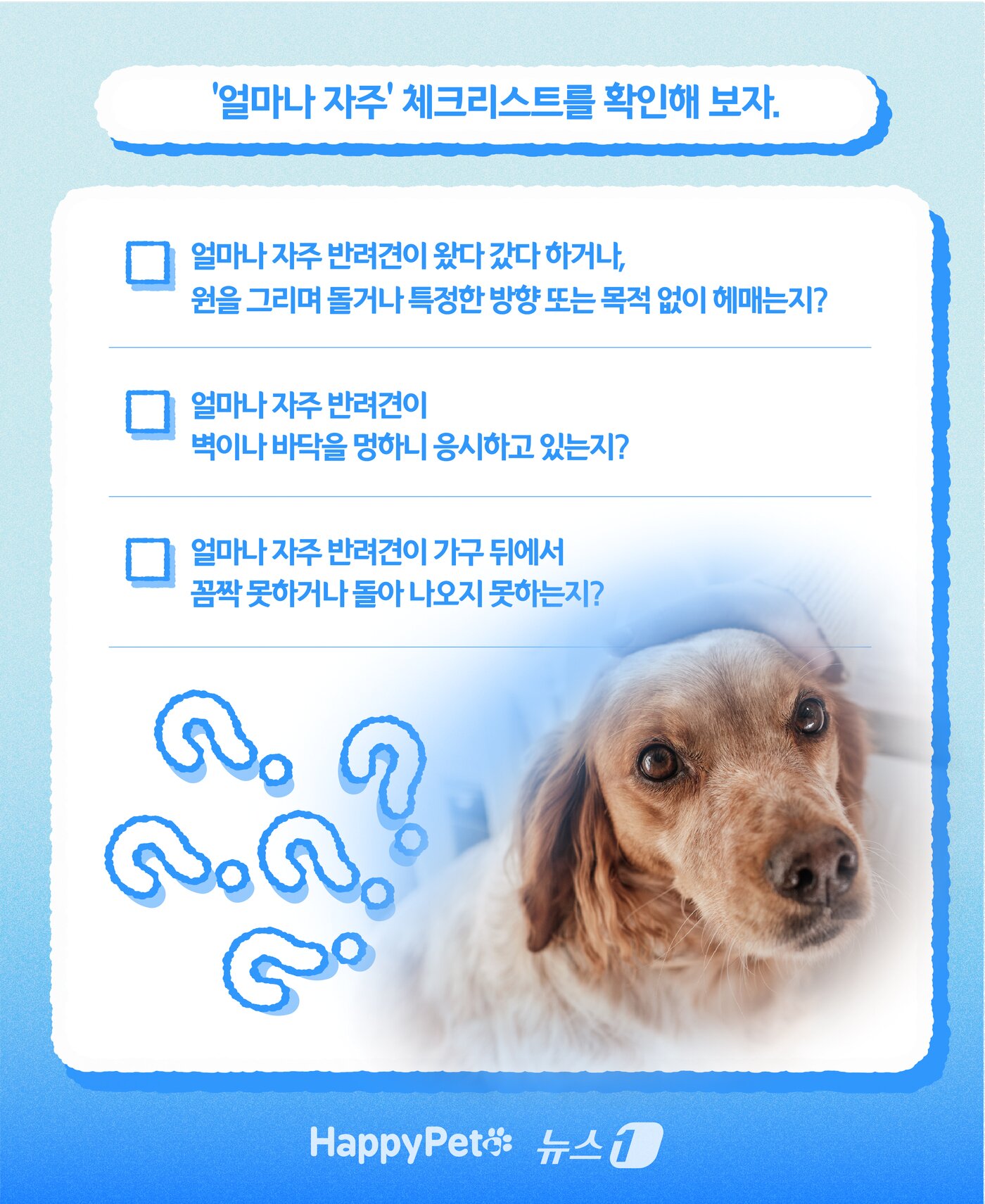 본문 이미지 - 인지기능장애 펫카드 ⓒ 뉴스1