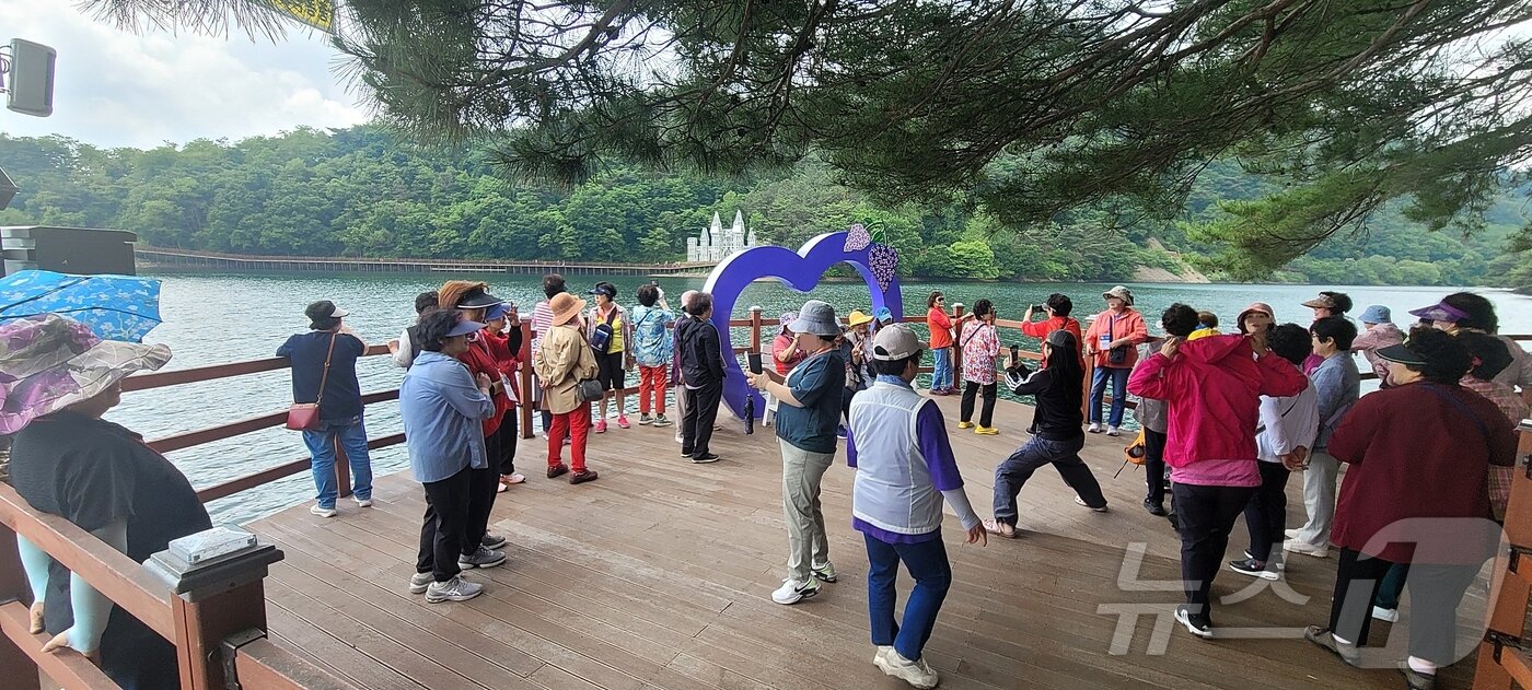 본문 이미지 - 충북 제천 의림지 수변 데크길인 '한방 치유 숲길'을 찾은 관광객들.2024.6.1/ 뉴스1 ⓒ News1 이대현 기자