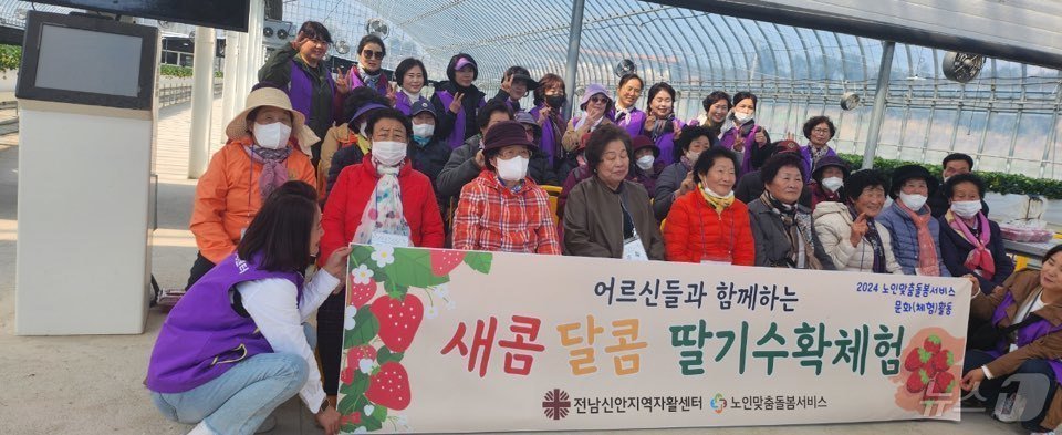 본문 이미지 - 신안 팔금 딸기학교에서 열린 지역 노인맞춤돌봄 서비스 체험활동 (딸기학교 제공)/뉴스1 