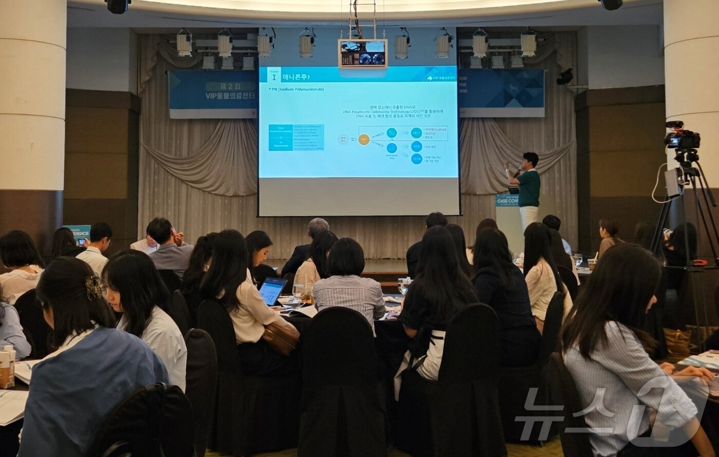 본문 이미지 - 김종인 수의사가 10일 서울 강남구 호텔 리베라에서 열린 &#39;제2회 VIP동물의료센터 케이스 콘퍼런스&#39;에서 강의를 하고 있다. ⓒ 뉴스1 최서윤 기자