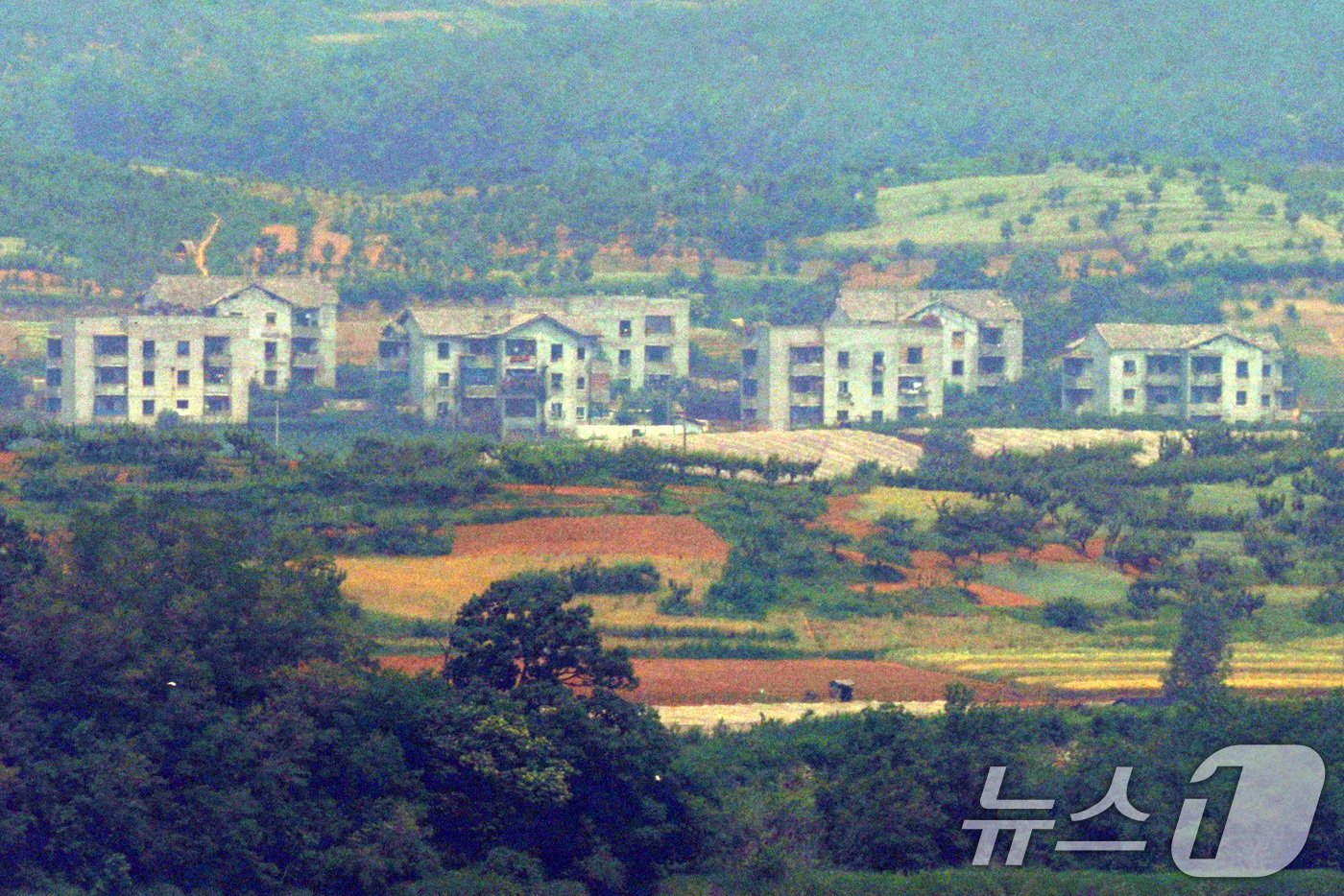 본문 이미지 - 10일 경기 파주시 접경지역에서 바라본 북한 개풍군 일대 마을이 고요하다. 2024.6.10/뉴스1 ⓒ News1 신웅수 기자