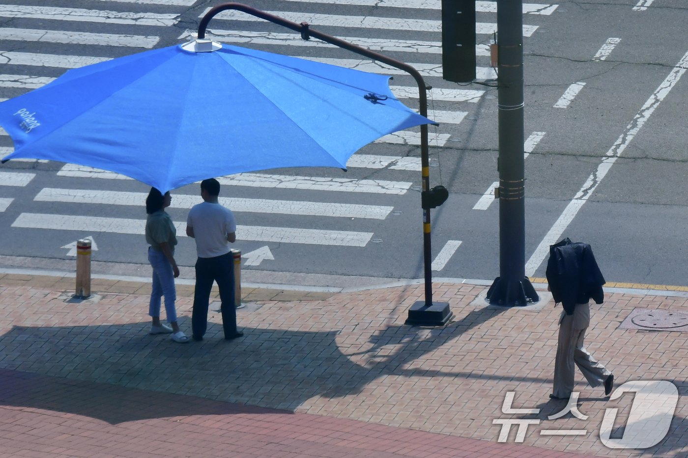 10일 경북 포항시청 앞 광장을 지나가는 시민이 내리쬐는 햇볕을 윗옷으로 가린 채 걸어가고 있다. 이날 대구기상청은 경산,영천, 경주, 청도에 올들어 첫 폭염주의보를 발령헸다. 2024.6.10/뉴스1 ⓒ News1 최창호 기자