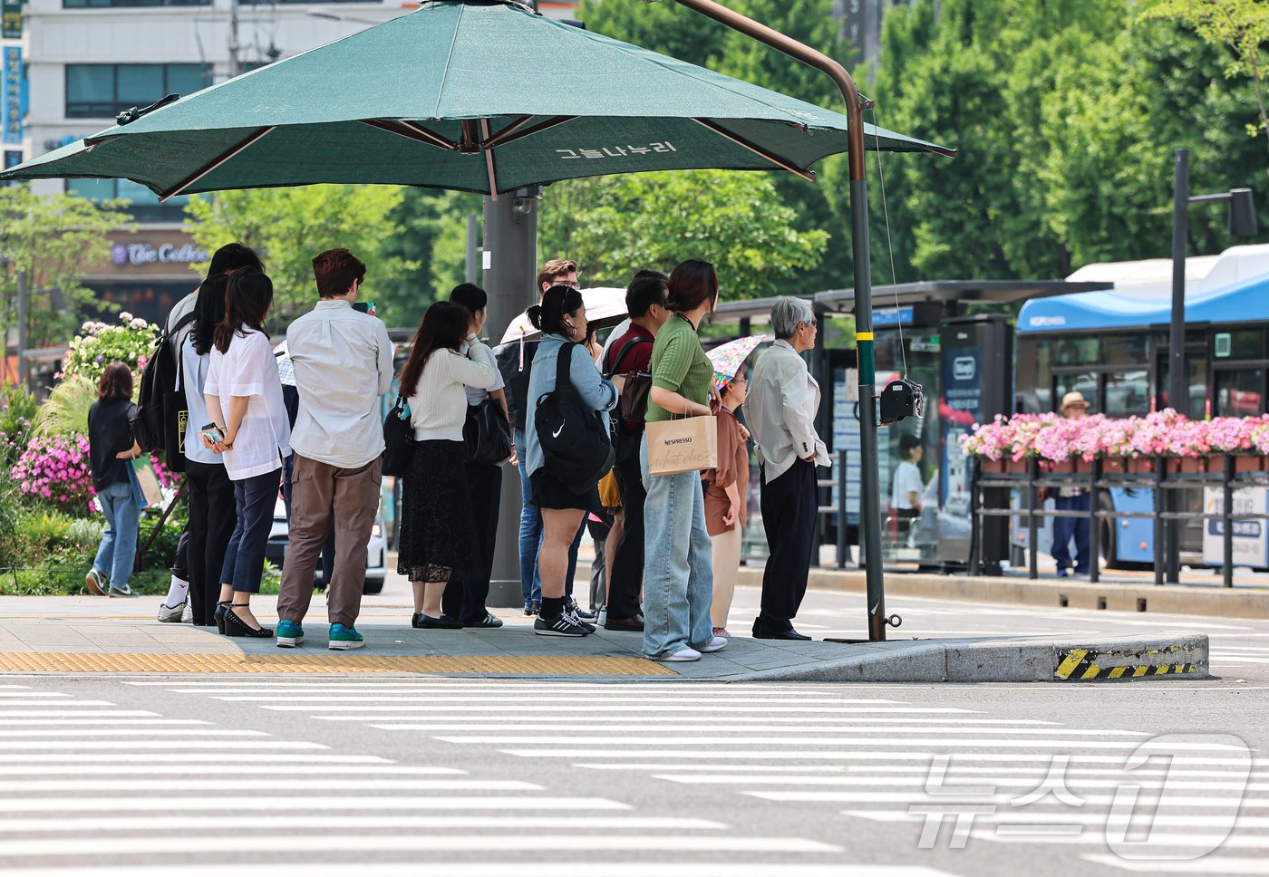 전국 대부분 지역의 낮 최고 기온이 30도에 이르며 더위가 이어진 10일 서울 종로구 광화문사거리에서 시민들이 그늘막 아래에서 횡단보도 신호를 기다리고 있다. 2024.6.10/뉴스1 ⓒ News1 김도우 기자