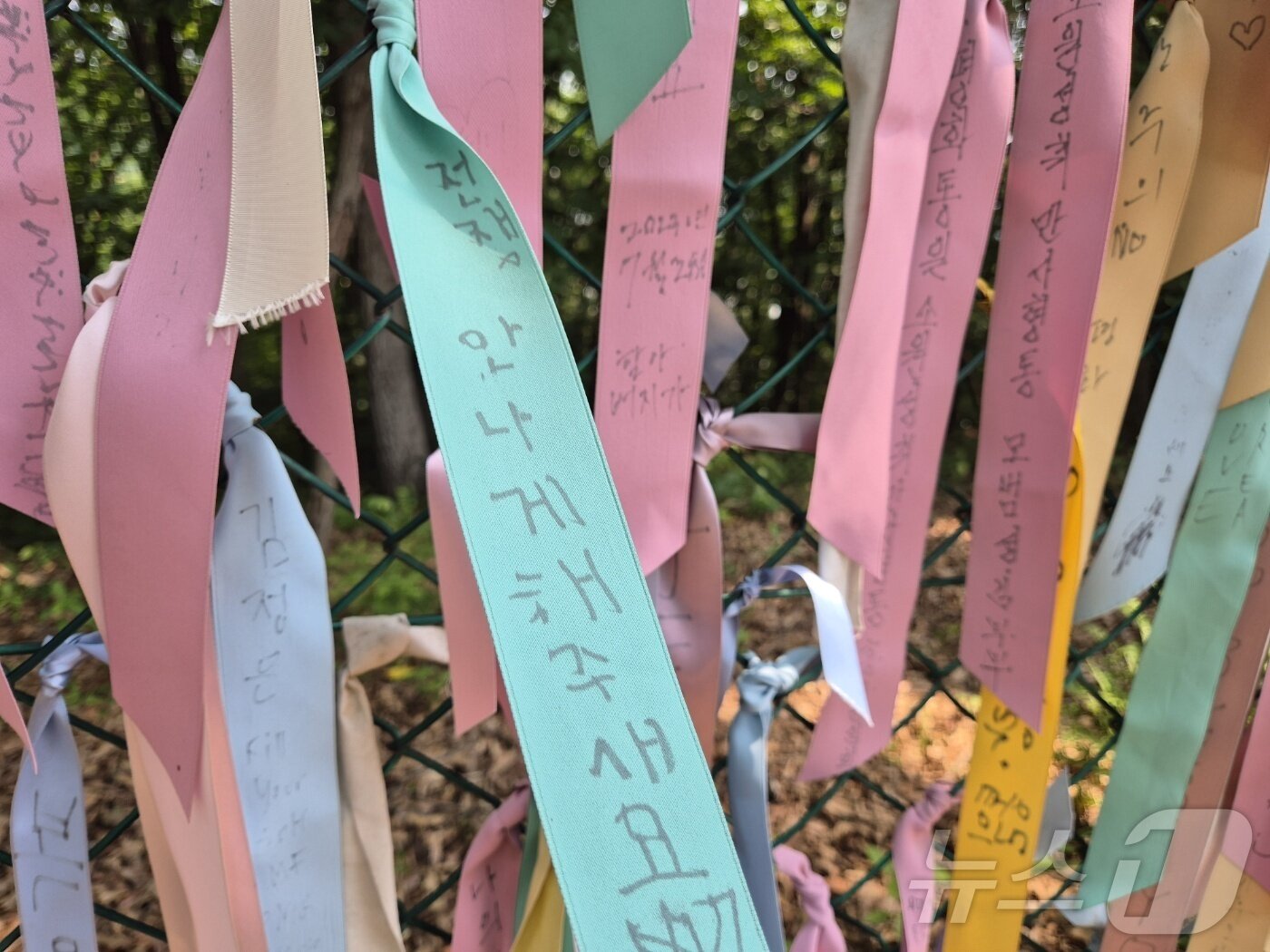 본문 이미지 - 10일 경기 파주시 문산읍 임진각 평화누리공원 내 민간인통제구역 철책에 '평화'를 염원하는 글귀가 적힌 리본이 걸려 있다.2024.06.10./뉴스1 양희문 기자