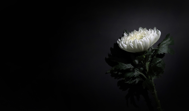 [부고] 김현제 씨(한우리봉사단 회장) 별세