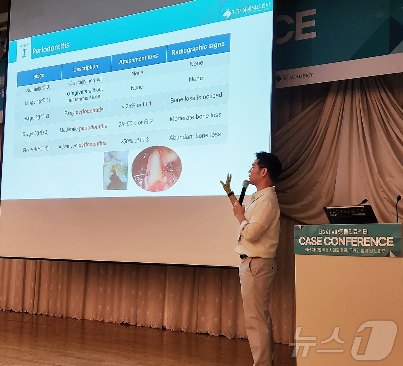 본문 이미지 - 이성혁 청담점 치과 과장은 VIP동물의료센터 제2회 케이스 콘퍼런스에서 숨어있는 치주염, 뽑지 말고 살려보자'라는 주제로 발표했다. ⓒ 뉴스1 한송아 기자