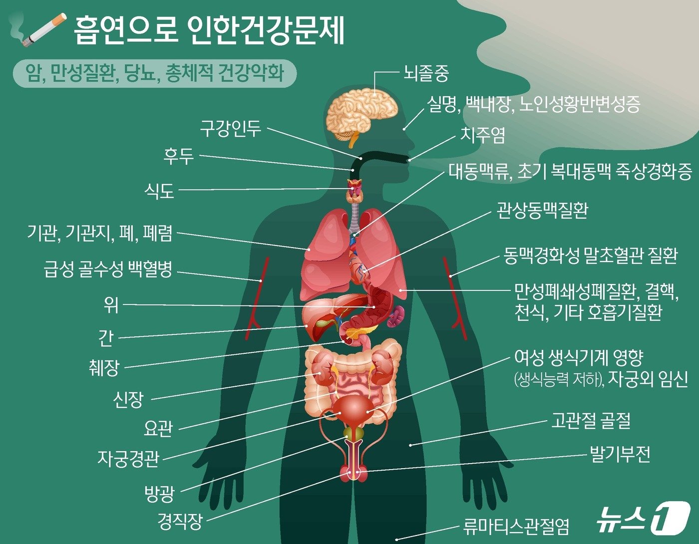 ⓒ News1 양혜림 디자이너