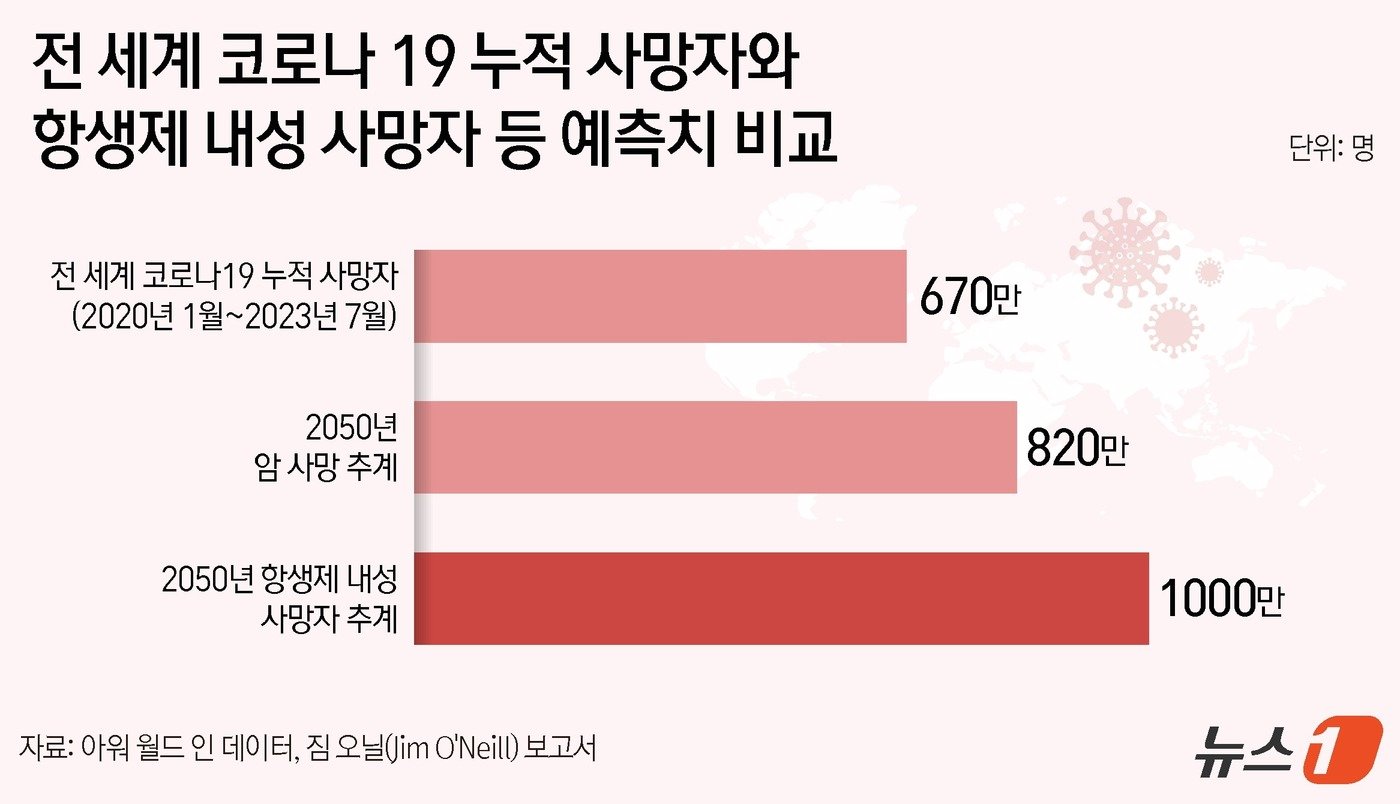 ⓒ News1 김지영 디자이너