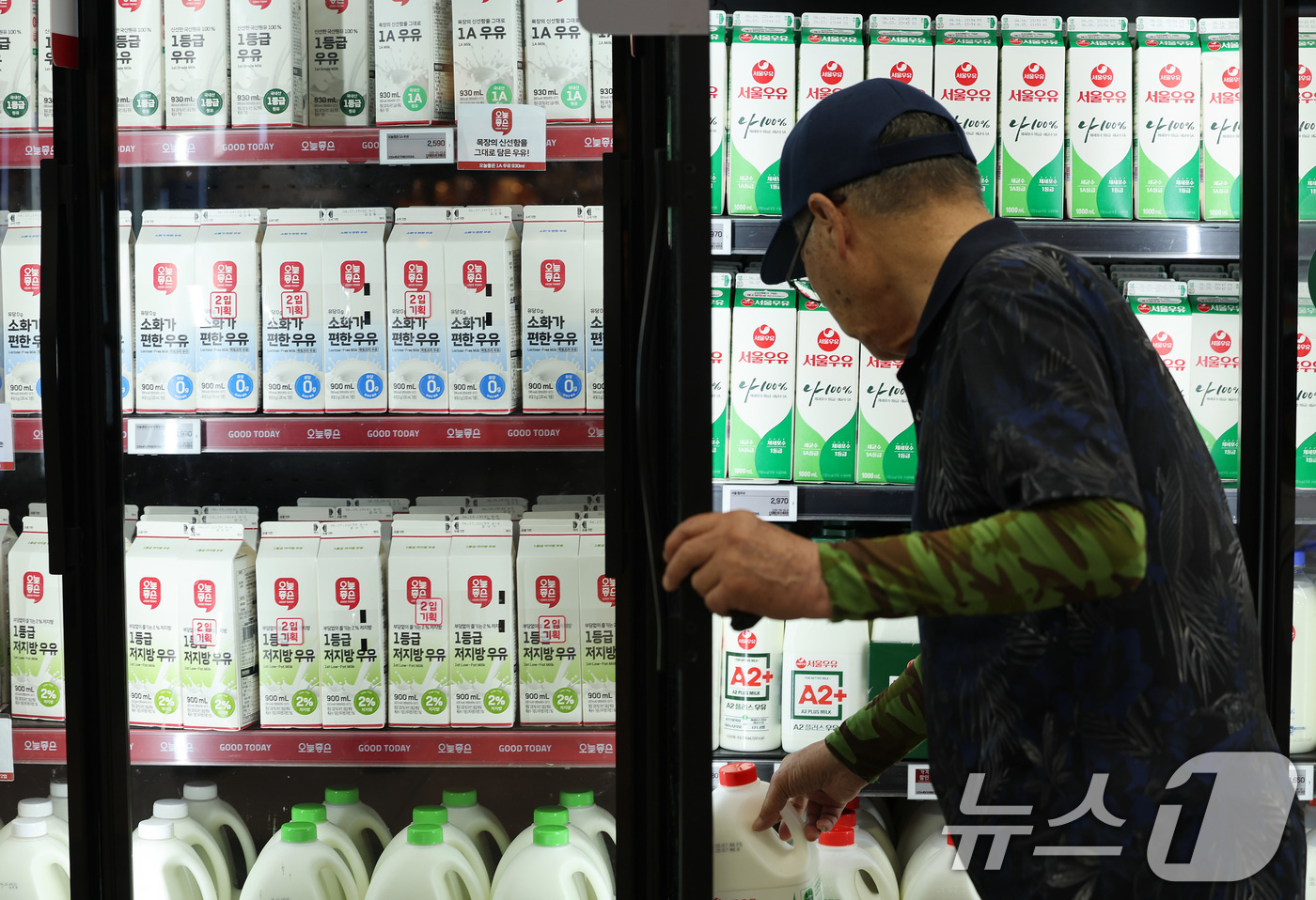 (서울=뉴스1) 이동해 기자 = 낙농가와 유업계가 올해 우유 원유(原乳) 가격을 정하기 위한 협상을 시작한 11일 서울의 한 대형마트에서 시민들이 우유를 고르고 있다.올해 원윳값은 …