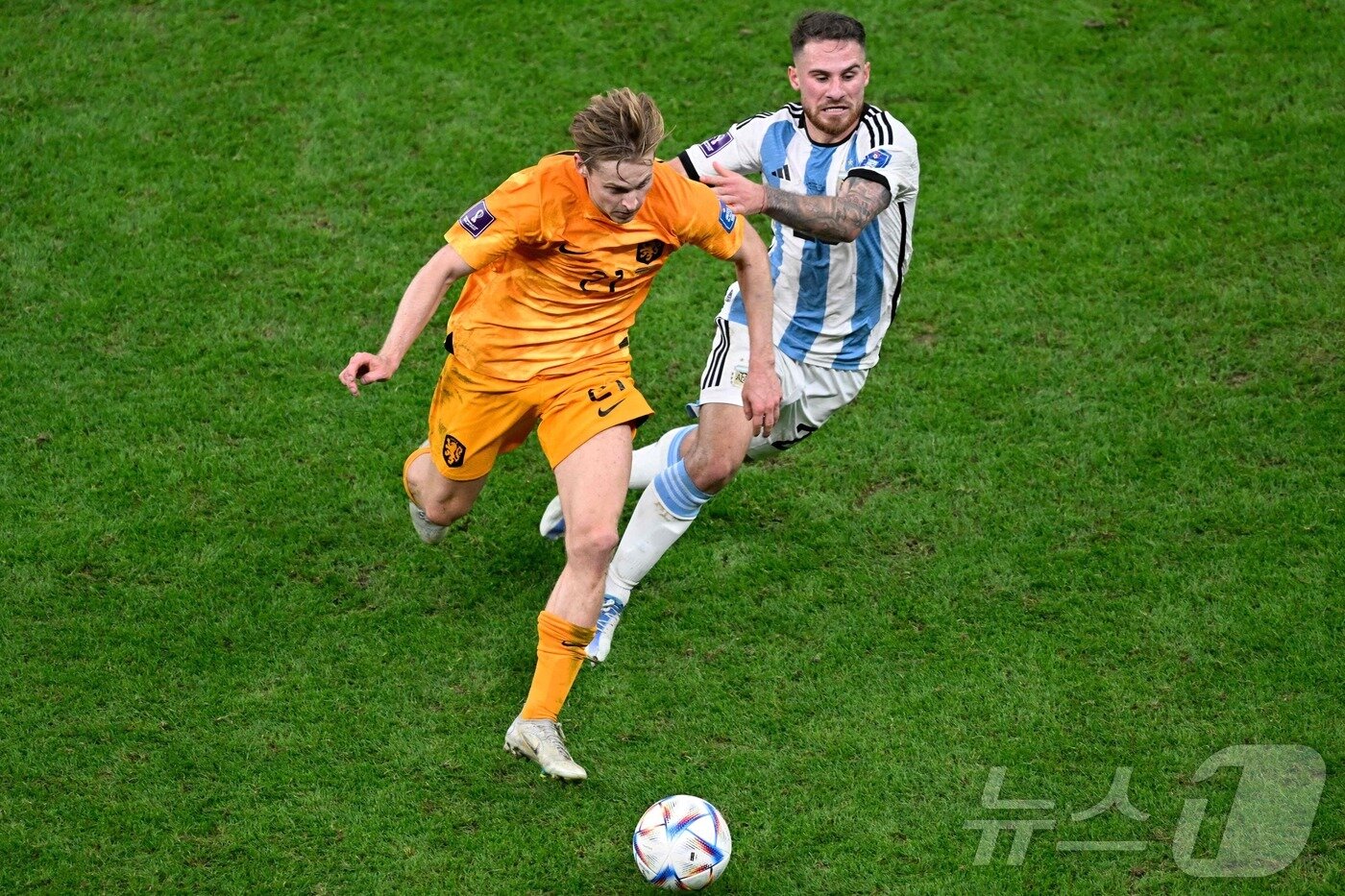 본문 이미지 - 네덜란드 미드필더 더용(왼쪽). ⓒ AFP=뉴스1