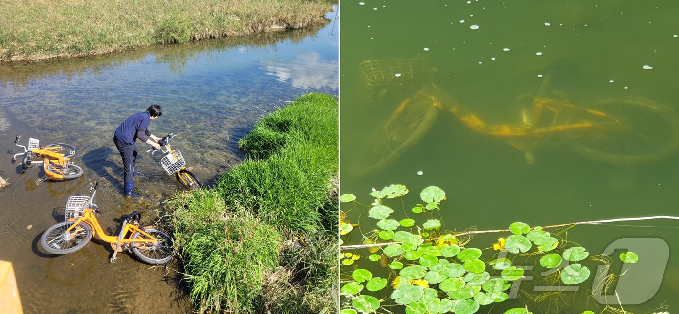 본문 이미지 - 일부 이용자들이 고의로 훼손한 타슈. (대전교통공사 제공)/뉴스1 