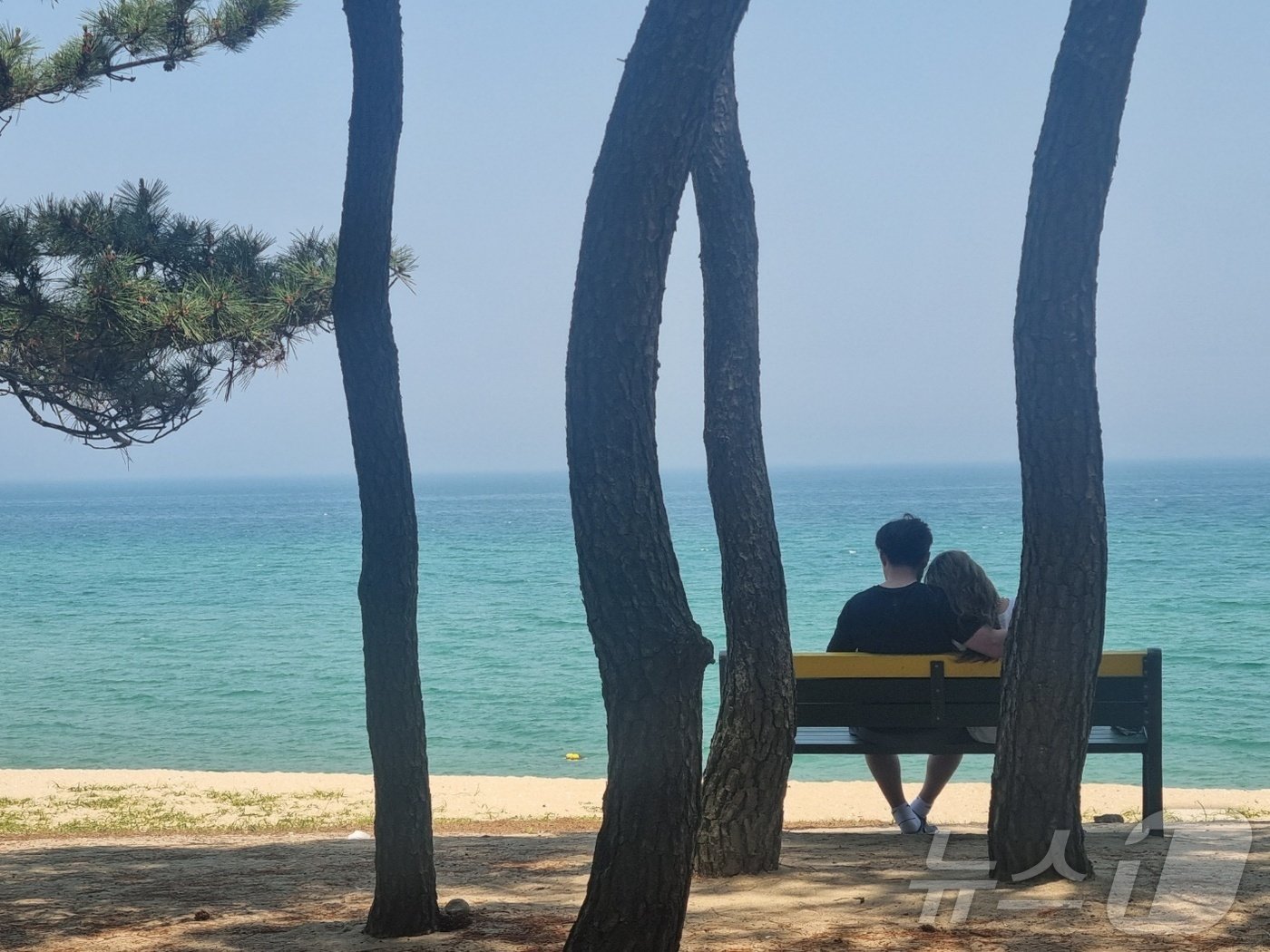 본문 이미지 - 30도를 웃도는 무더위가 기승을 부린 11일 강릉 송정해변에서 한 커플이 벤치에 앉아 더위를 식히고 있다.2024.6.11/뉴스1 윤왕근기자