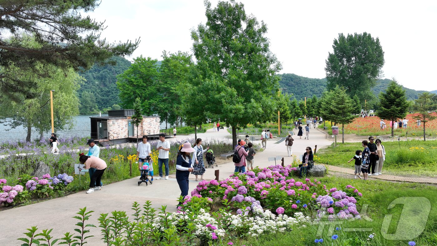 본문 이미지 - 10일 경기 가평군 자라섬 꽃 페스타에서 방문객들이 꽃양귀비, 수국, 유채꽃 등 다양한 봄꽃을 관람하고 있다. 지난달 25일 개막한 이번 축제에는 개막 17일 만에 11만 명이 넘는 관람객이 찾은 것으로 집계됐다.(가평군 제공) 2024.06.10/뉴스1 ⓒ News1 양희문 기자