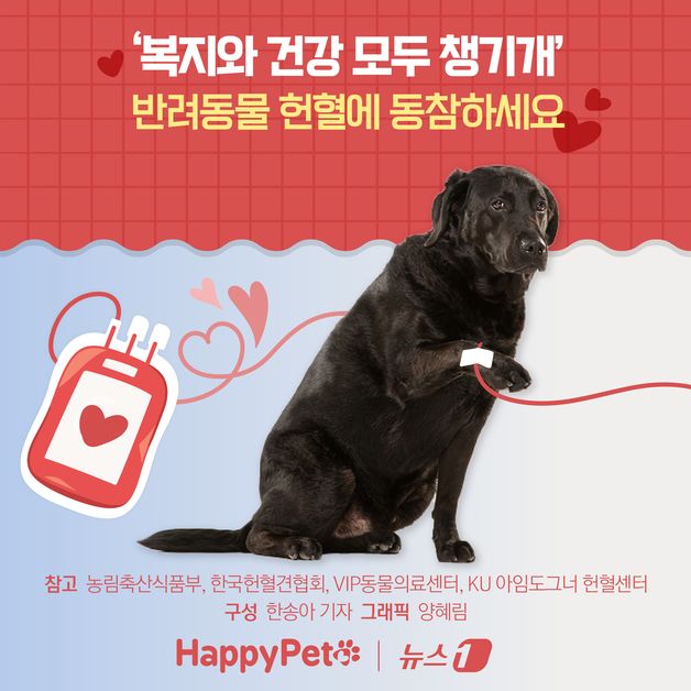 '복지와 건강 모두 챙기개'…반려동물 헌혈에 동참하세요 [펫카드]