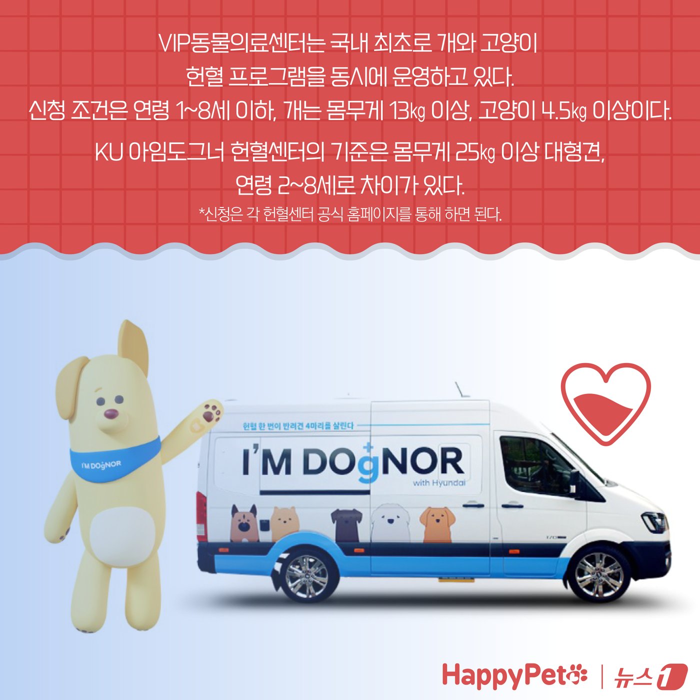 본문 이미지 - &#39;복지와 건강 모두 챙기개&#39;…반려동물 헌혈에 동참하세요 ⓒ News1 양혜림 디자이너