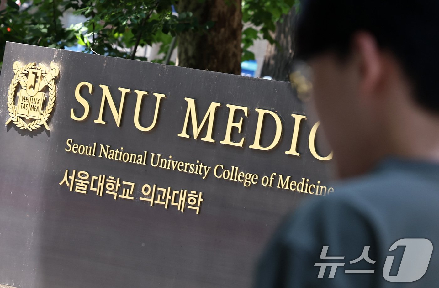 본문 이미지 - 13일 서울 종로구 서울대병원 의과대학의 모습. 앞서 서울의대-서울대병원 비상대책위원회가 17일부터 무기한 집단 휴진을 결의한 것을 시작으로 대한의사협회는 18일 집단 휴진과 총궐기대회 개최를 예고했다. 2024.6.13/뉴스1 ⓒ News1 구윤성 기자