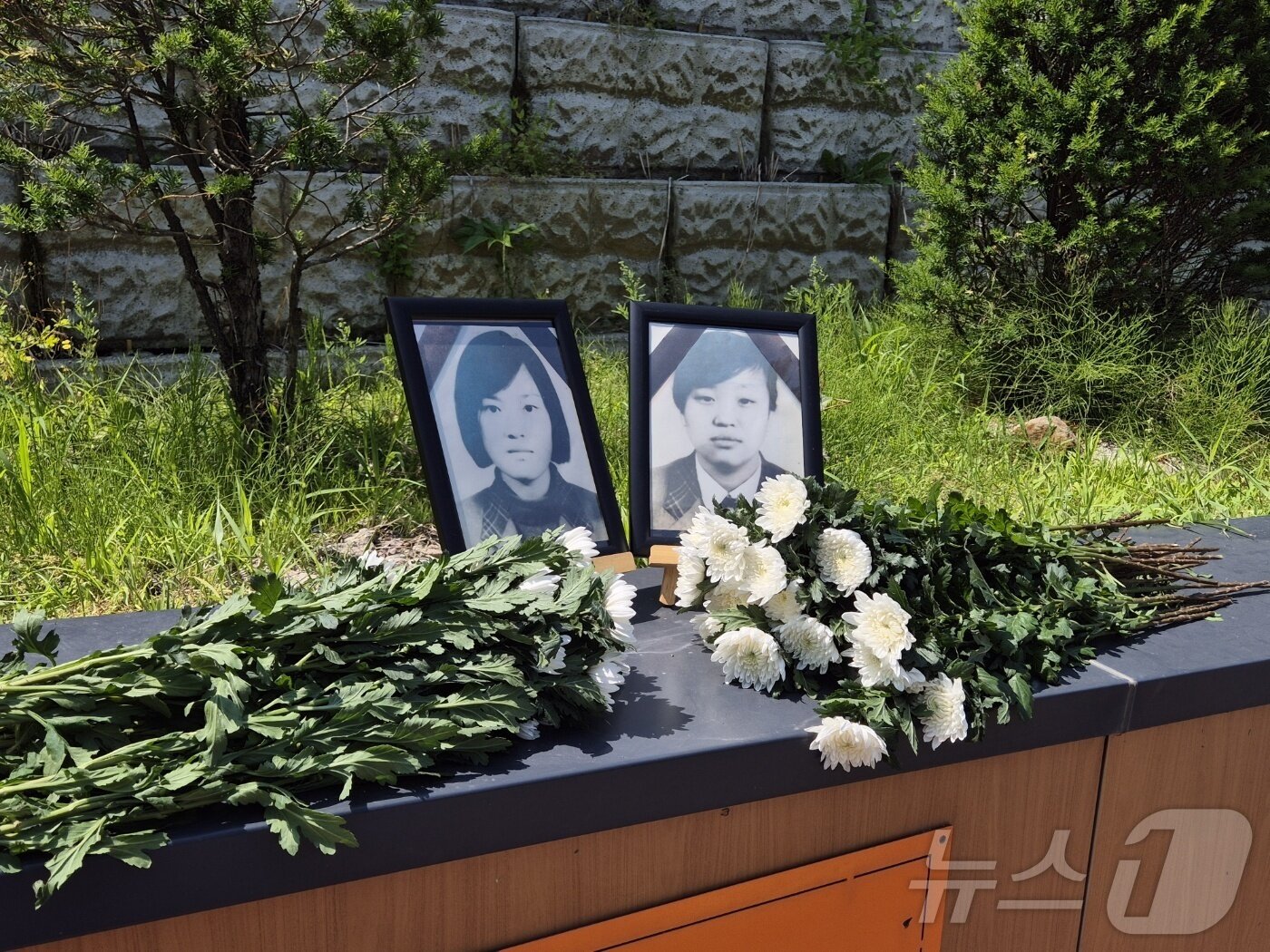 본문 이미지 - 13일 오전 경기 양주시 효순미선평화공원에서 열린 고(故) 신효순·심미선 양 22주기 열린 추모행사 현장에 희생자들의 영정사진과 국화가 놓여있다. 2024.06.13/뉴스1 양희문 기자 ⓒ News1 양희문 기자