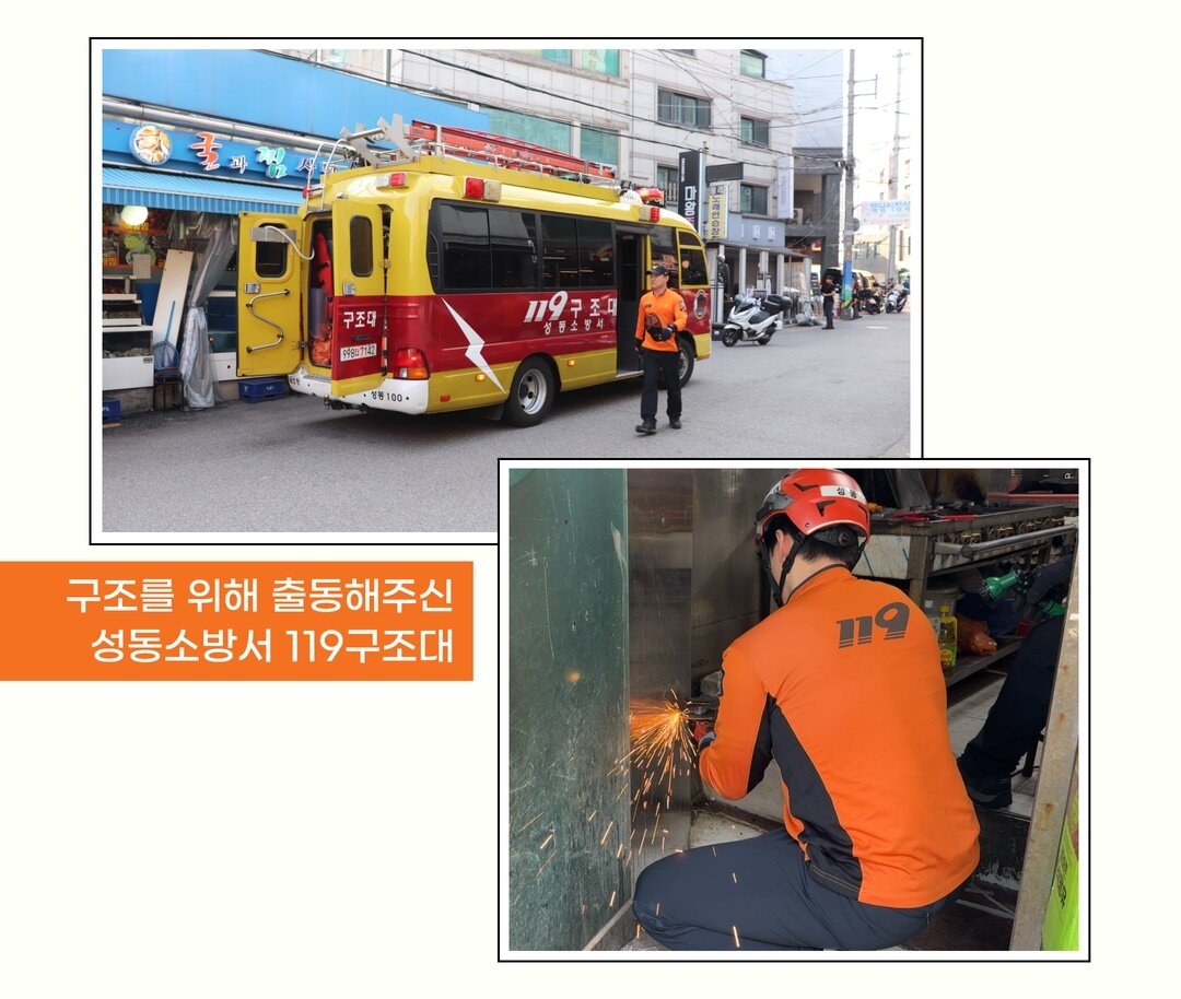 본문 이미지 - 성동소방서 119구조대에서 출동해 새끼 고양이들의 구조작업을 진행했다. (동물자유연대 제공) ⓒ 뉴스1