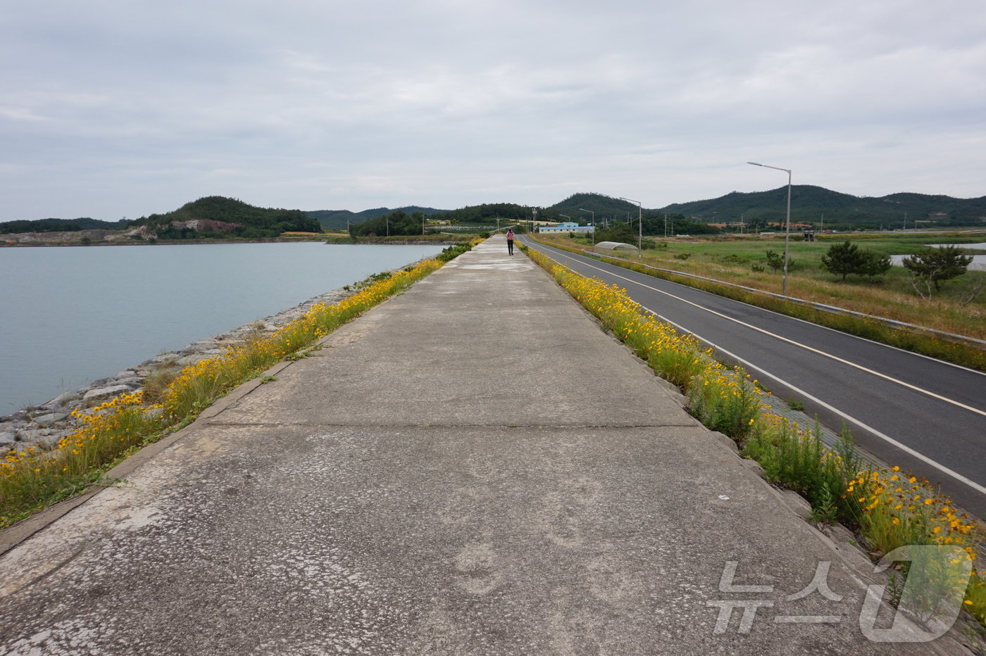 본문 이미지 - 나리방조제 둑길. 2024.6.13./뉴스1 ⓒ News1 조영석 기자