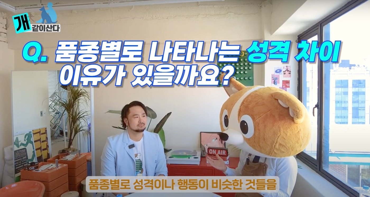 본문 이미지 - 심용희 수의사가 유튜브 채널 '개만족'에 출연해 반려견 품종별 특징과 유래 등을 설명했다. (개만족 유튜브 갈무리) ⓒ 뉴스1