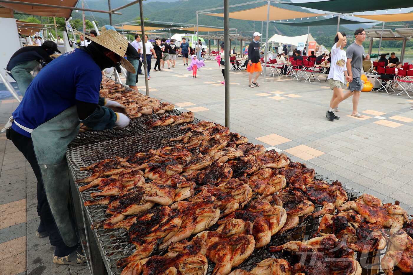 본문 이미지 - 15일 강원 인제군 남면 빙어호에서 열린 '2024 인제 캠프레이크 페스티벌'에 들어선 더본 외식산업개발원(대표 백종원)표 먹거리. 2024.6.15/뉴스1 ⓒ News1 이종재 기자