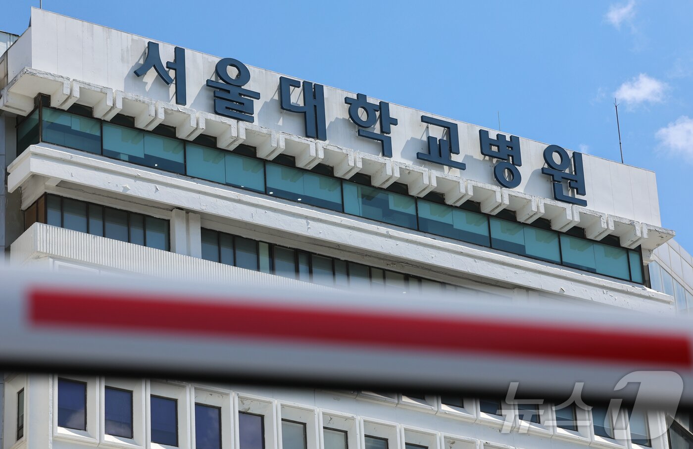 본문 이미지 - 사진은 지난 6월 16일 서울 종로구 서울대학교병원의 모습. 2024.6.16/뉴스1 ⓒ News1 김도우 기자