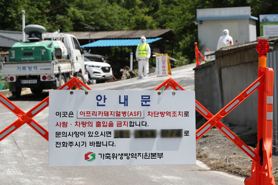 경남 창녕에서 아프리카돼지열병 발생…긴급 방역 조치 착수