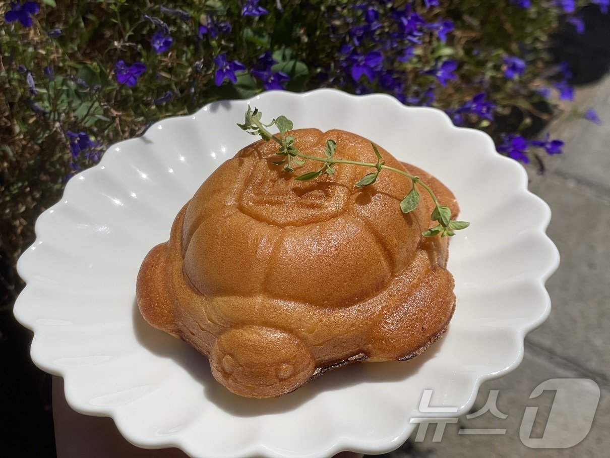 본문 이미지 - 슈크림‧팥이 들어간 거북 모양의 거북빵.(동해시 제공)/뉴스1