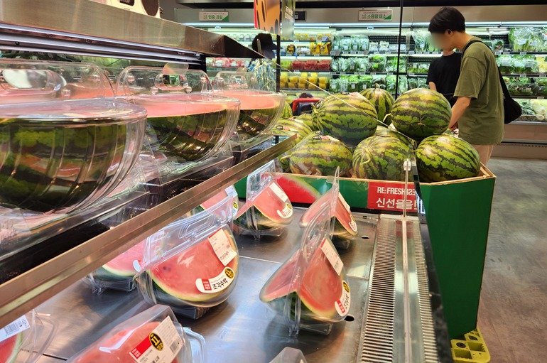 본문 이미지 - (롯데마트 제공)