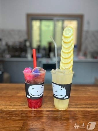 본문 이미지 - 레몬을 탑처럼 쌓은 타워에이드.(동해시 제공)/뉴스1