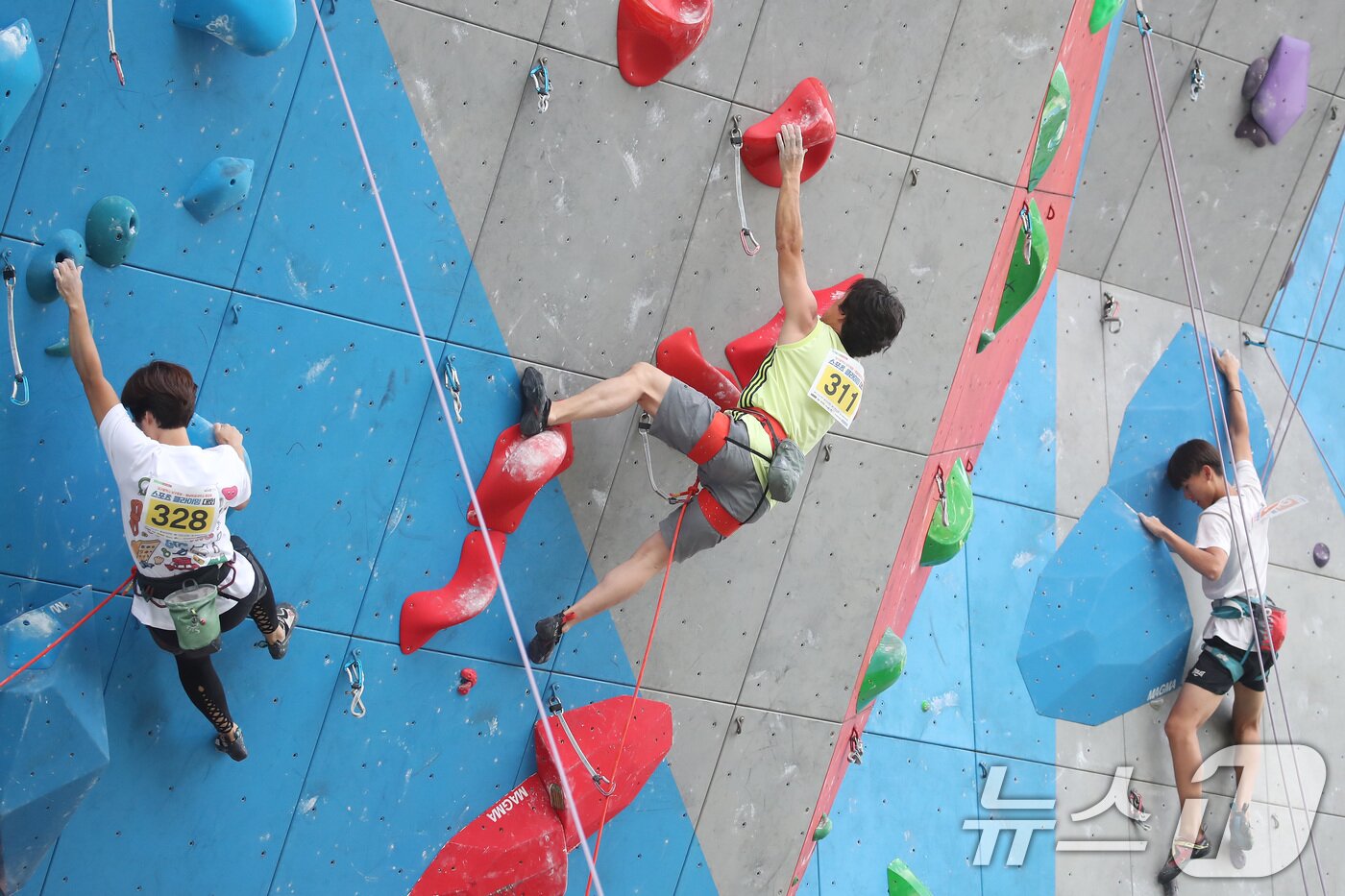 본문 이미지 - 16일 오후 대구 남구 국제스포츠클라이밍장에서 열린 '대구 남구청장·영남이공대 총장배' 스포츠클라이밍대회 결승에 출전한 선수들이 암벽을 오르고 있다. 2024.6.16/뉴스1 ⓒ News1 공정식 기자