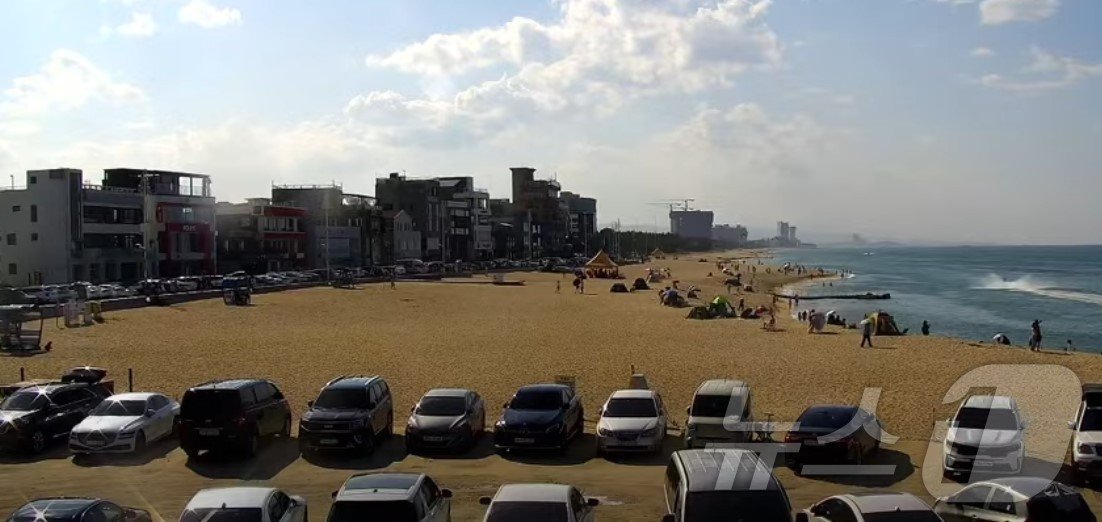 본문 이미지 - 강릉 커피 거리 모습.(강릉시 유튜브 캡처)/뉴스1