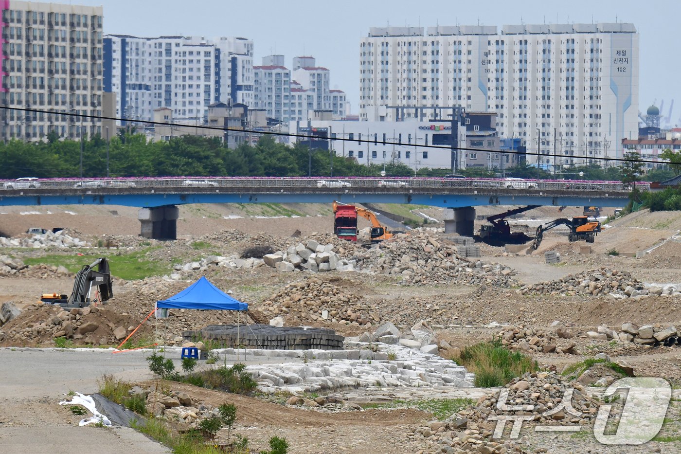 본문 이미지 - 17일 경북도가 포항시 남구 오천읍 냉천에서 중장비를 투입, 수해복구 공사를 진행 중이다. 2024.6.17/뉴스1 ⓒ News1 최창호 기자