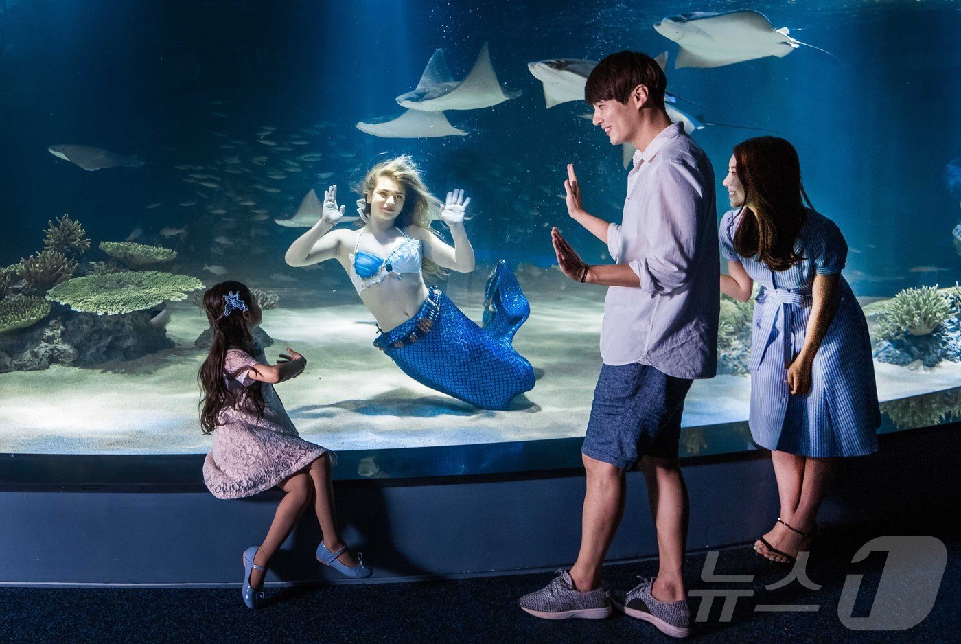 본문 이미지 - 아쿠아플라넷63에서 한 가족이 인어공주 공연을 관람하고 있다.(한화호텔앤드리조트 제공)