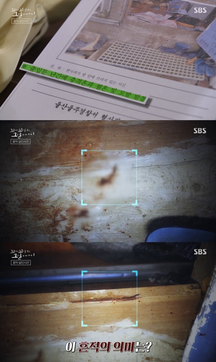 본문 이미지 - (SBS '꼬리에 꼬리를 무는 그날 이야기' 갈무리)