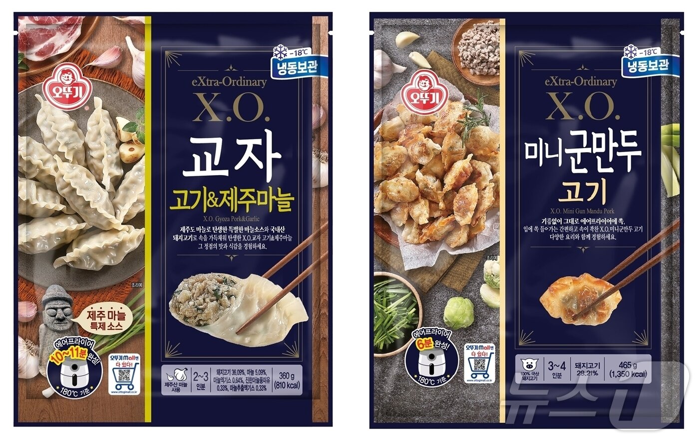 본문 이미지 - 오뚜기 'X.O. 교자 고기&제주마늘'과 'X.O. 미니군만두 고기'. (오뚜기 제공)