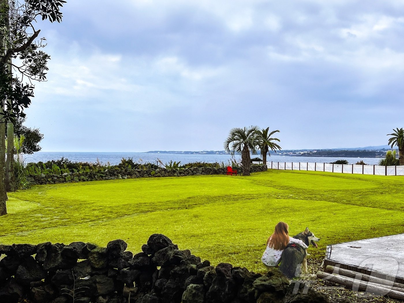 본문 이미지 - 소노캄 제주에 마련된 펫 플레이 그라운드 전경.(소노인터내셔널 제공)