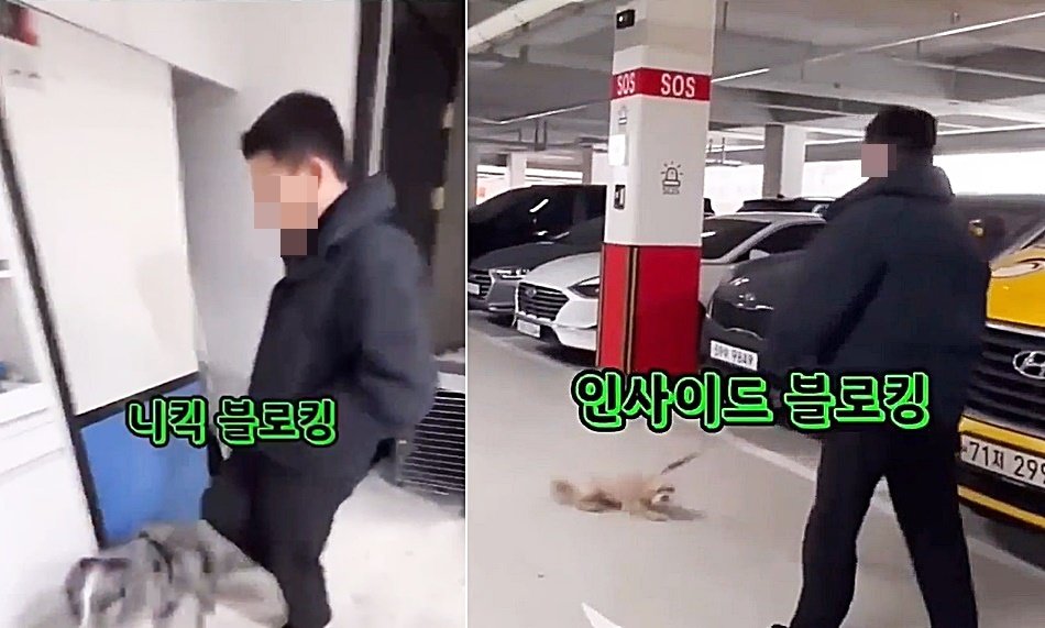 본문 이미지 - 김 훈련사는 본인의 훈련 방법에 '블로킹'이란 용어를 주로 사용하고 있다. (댕쪽이상담소 유튜브 갈무리) /뉴스1