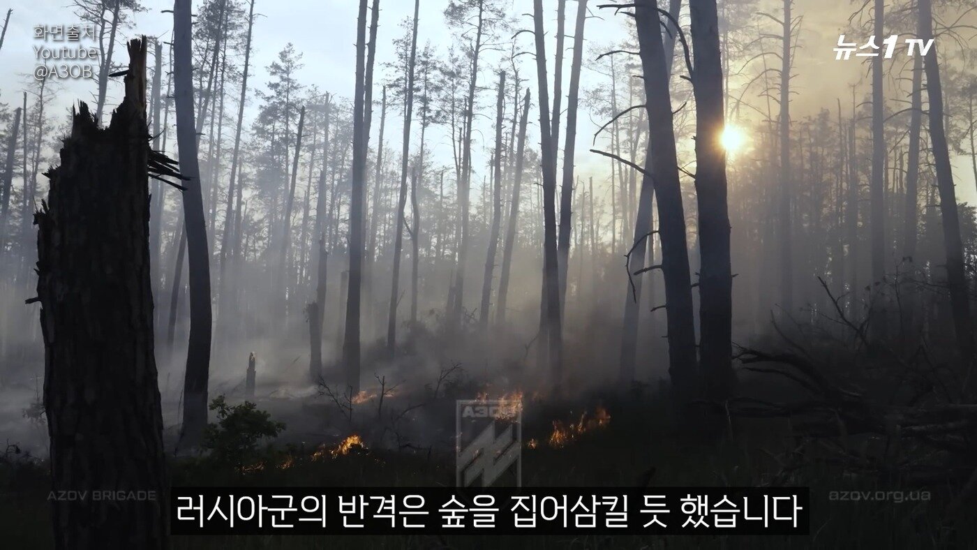 본문 이미지 - (뉴스1TV 갈무리)