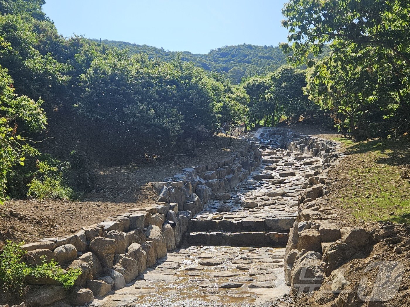본문 이미지 -  공주 사곡면 산사태 이후 사방사업 모습.(산림청 제공)/뉴스1