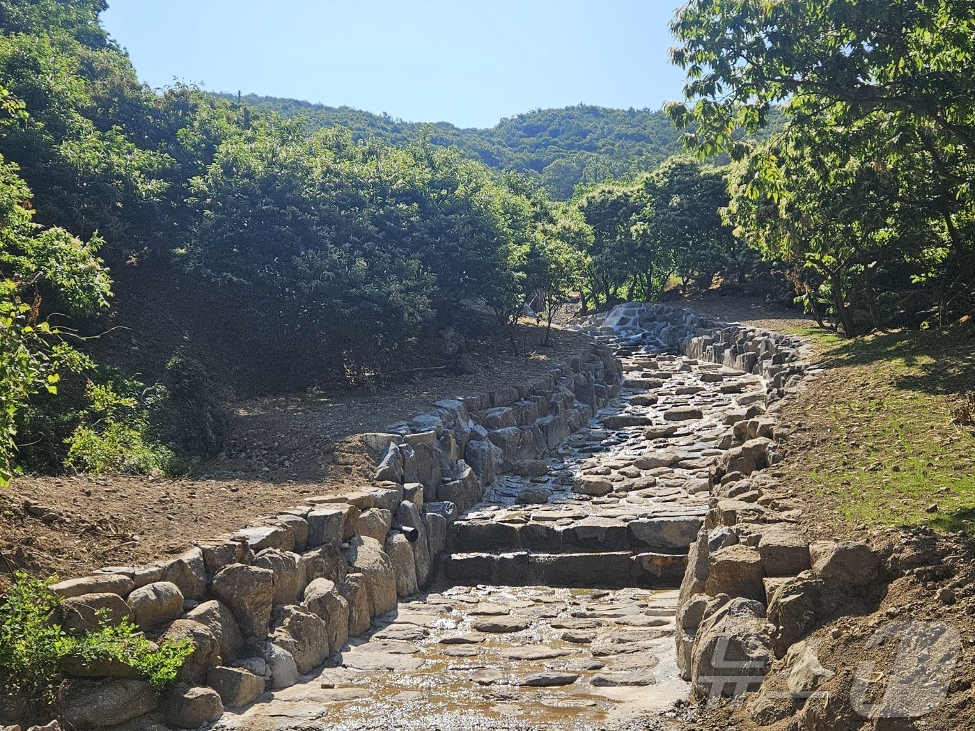  공주 사곡면 산사태 이후 사방사업 모습.&#40;산림청 제공&#41;/뉴스1