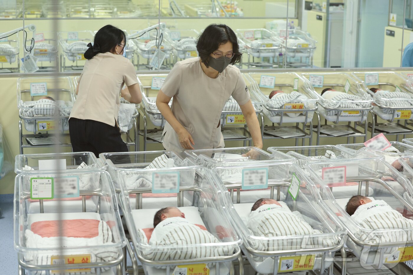본문 이미지 - 저출생 문제가 심각해 정부가 대책에 고심인 가운데 19일 인천 미추홀구 아인병원에 마련된 신생아실에서 신생아들이 휴식을 취하고 있다. 2024.6.19/뉴스1 ⓒ News1 신웅수 기자
