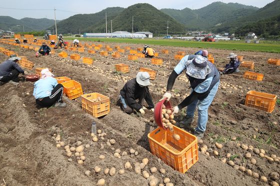 강원도 내년 외국인 계절근로자 유치 '총력'